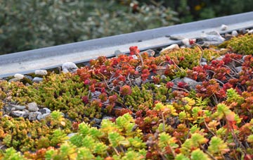 the cost of Burnham On Crouch green roof installation