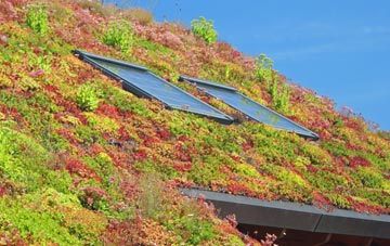 Burnham On Crouch living roof systems