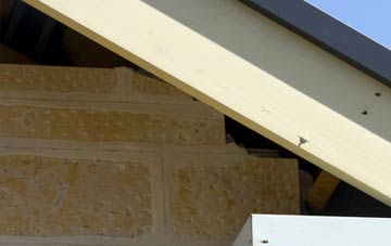 soffit repair Burnham On Crouch