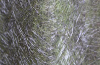 Burnham On Crouch fibreglass roof work